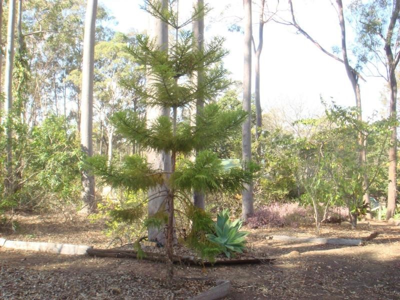 29 Hines Road, Wondai QLD 4606