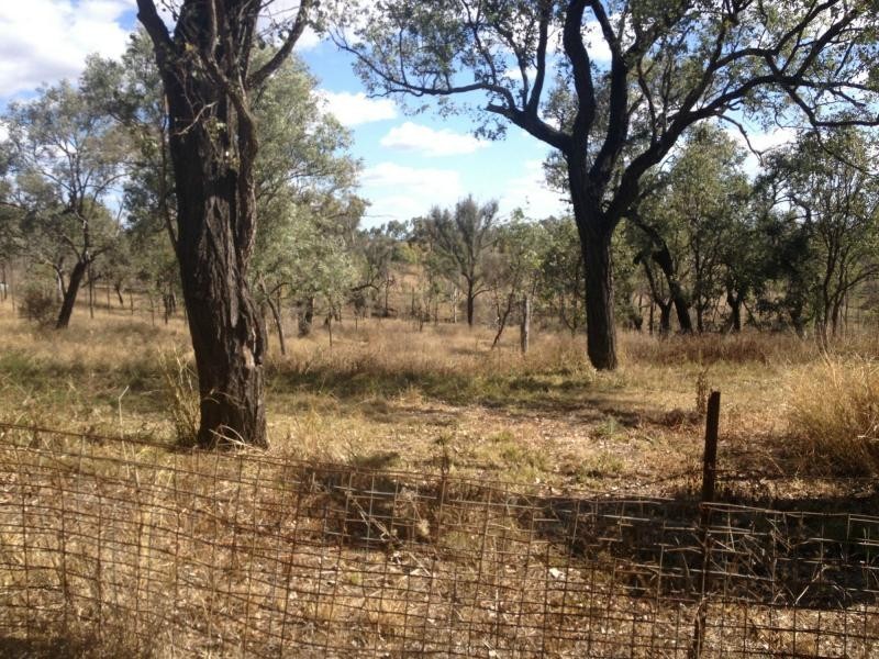 173 Beers Road, Wheatlands QLD 4606