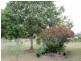 24 Burns Crescent, Wondai QLD 4606