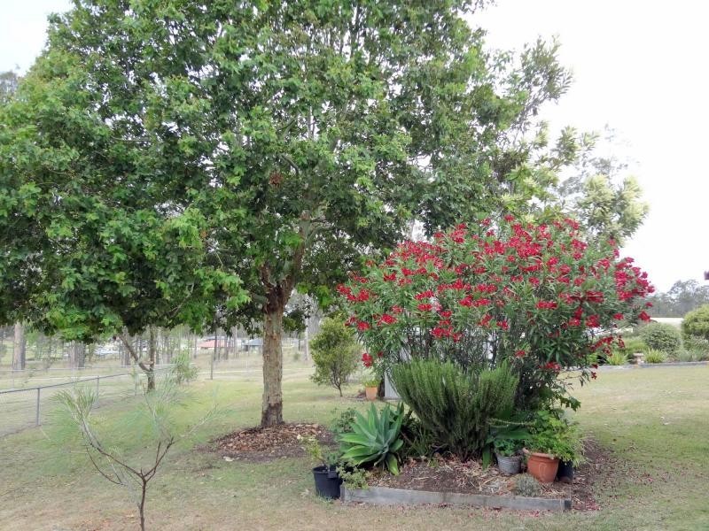 24 Burns Crescent, Wondai QLD 4606