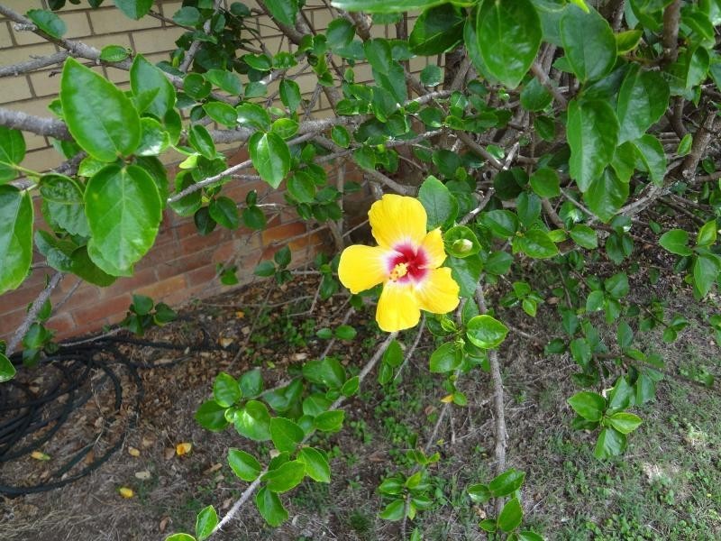 Wondai QLD 4606