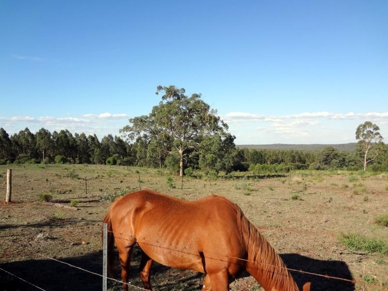 185 Farmers Road, Abbeywood QLD 4613