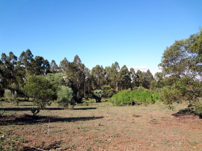 185 Farmers Road, Abbeywood QLD 4613