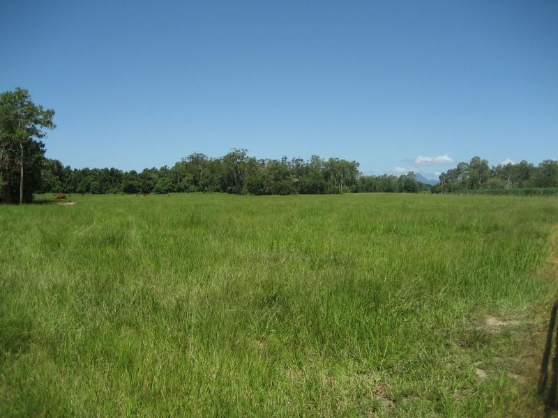 L1 Hamilton Road, Carruchan QLD 4816