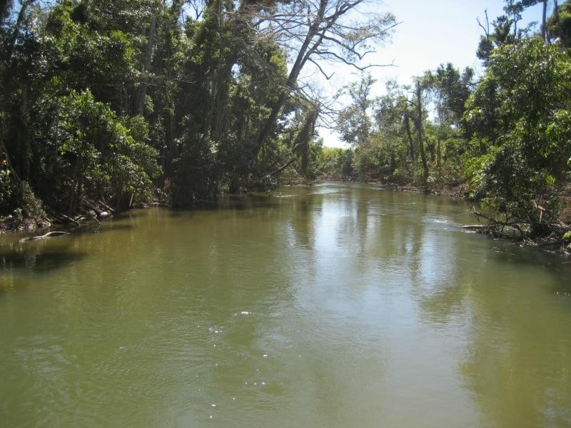 L1 Warrami Road, Warrami QLD 4854