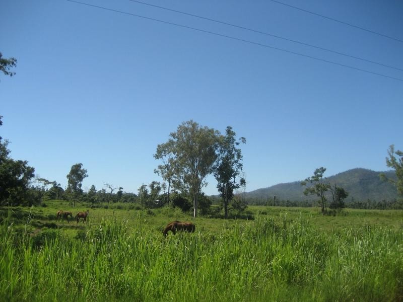 L1 Warrami Road, Warrami QLD 4854