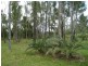 46 Five Mile Creek Road, Damper Creek QLD 4849