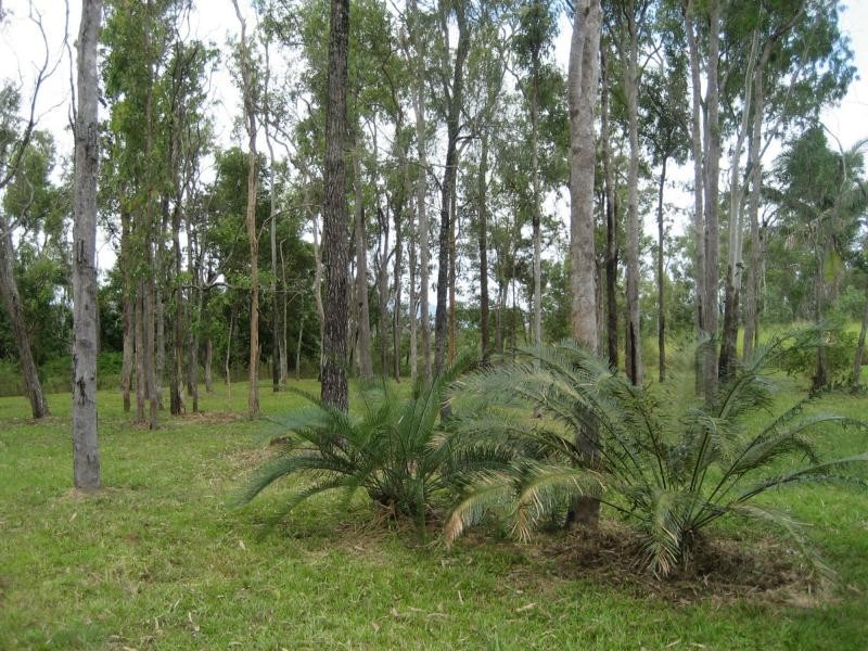 46 Five Mile Creek Road, Damper Creek QLD 4849