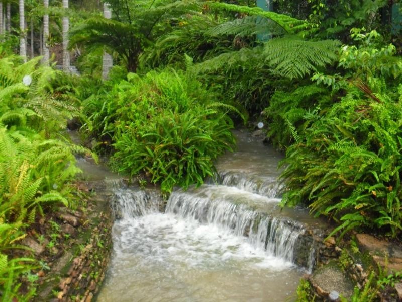 L112 Gravel Pit Road, Cardwell QLD 4849