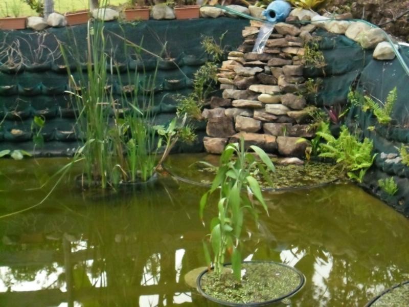 L112 Gravel Pit Road, Cardwell QLD 4849