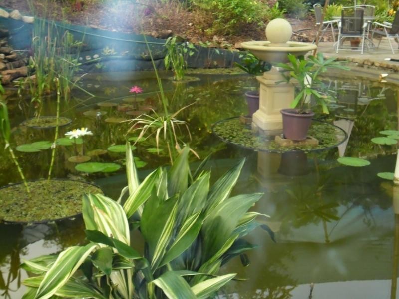 L112 Gravel Pit Road, Cardwell QLD 4849