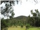 130 Stony Creek Road, Cardwell QLD 4849