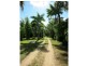 184 Stony Creek Road, Cardwell QLD 4849