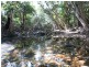 184 Stony Creek Road, Cardwell QLD 4849