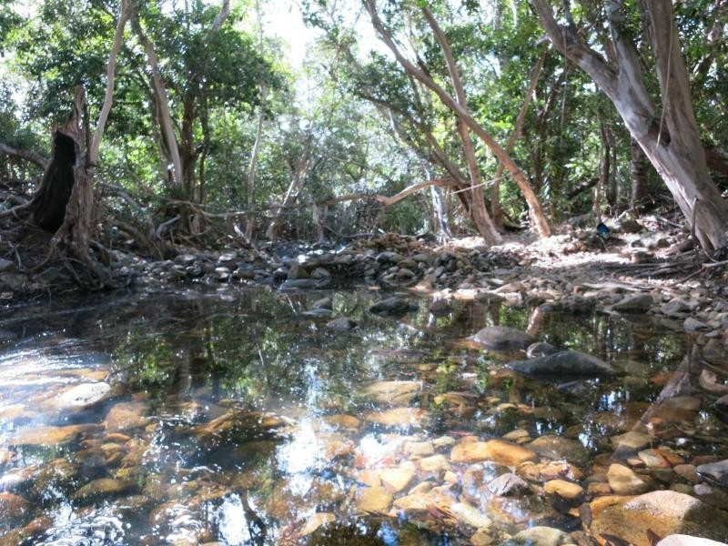184 Stony Creek Road, Cardwell QLD 4849