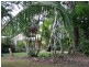 184 Stony Creek Road, Cardwell QLD 4849