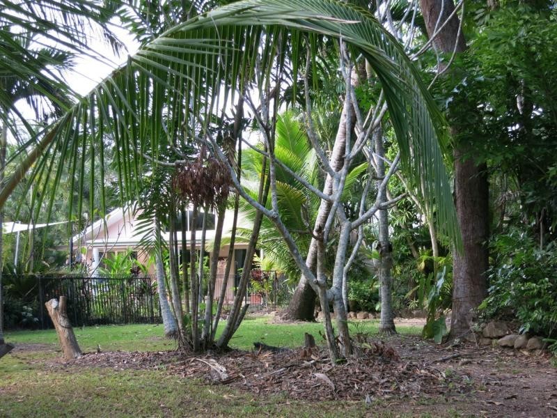 184 Stony Creek Road, Cardwell QLD 4849