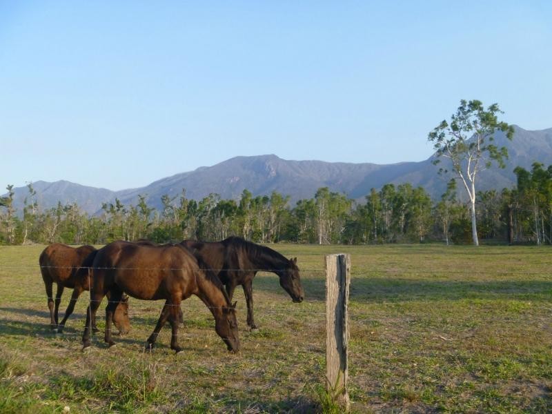 L3 Ellerbeck Road, Carruchan QLD 4816