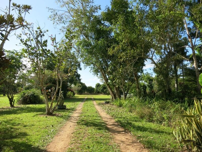 757 Ellerbeck Road, Carruchan QLD 4816