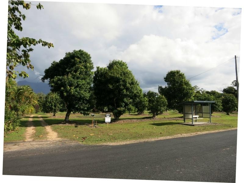 757 Ellerbeck Road, Carruchan QLD 4816