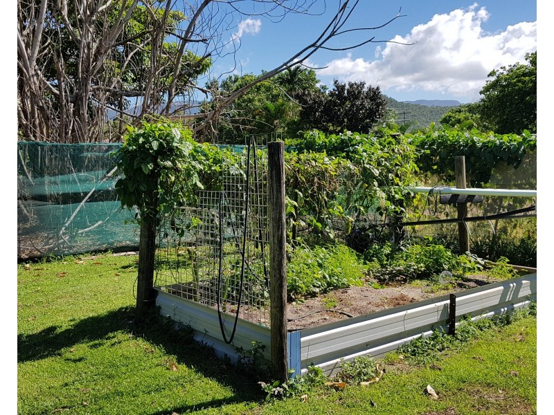 13 Winter Street, Cardwell QLD 4849