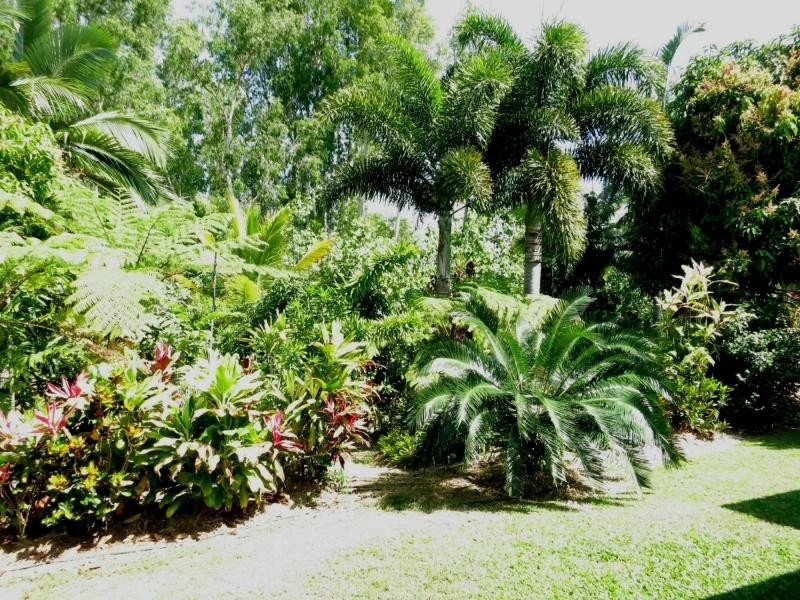 28 Melaleuca Drive, Tully Heads QLD 4854