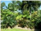28 Melaleuca Drive, Tully Heads QLD 4854