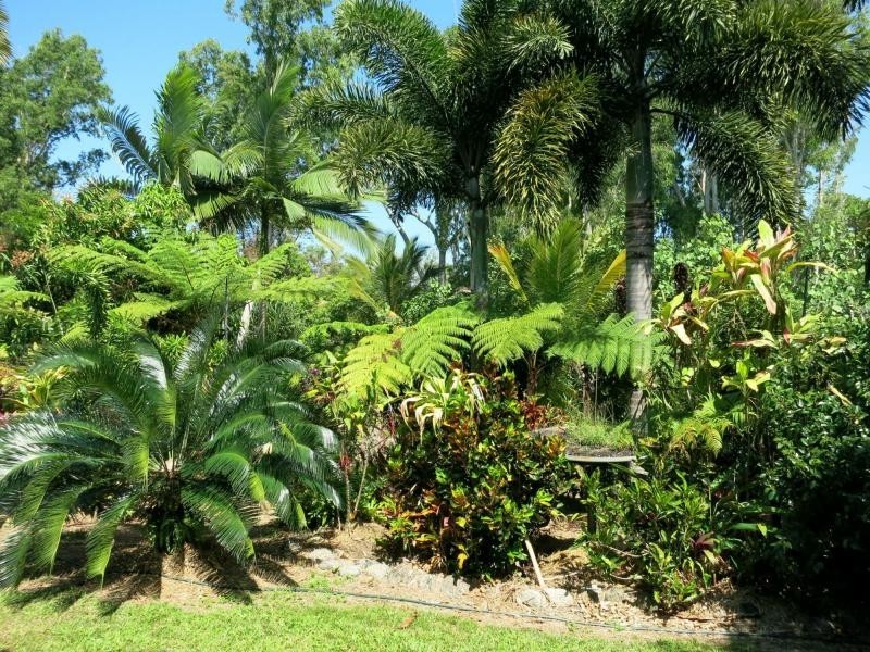 28 Melaleuca Drive, Tully Heads QLD 4854
