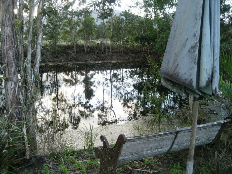 125 Hamilton Road, Carruchan QLD 4816