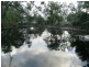 125 Hamilton Road, Carruchan QLD 4816