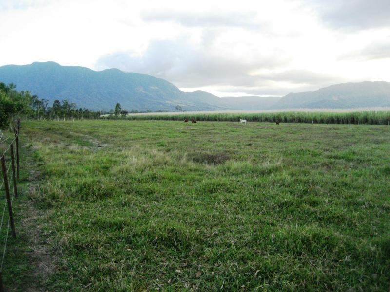 125 Hamilton Road, Carruchan QLD 4816