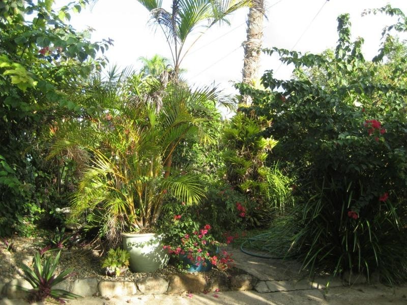 6 Jamieson Street, Cardwell QLD 4849