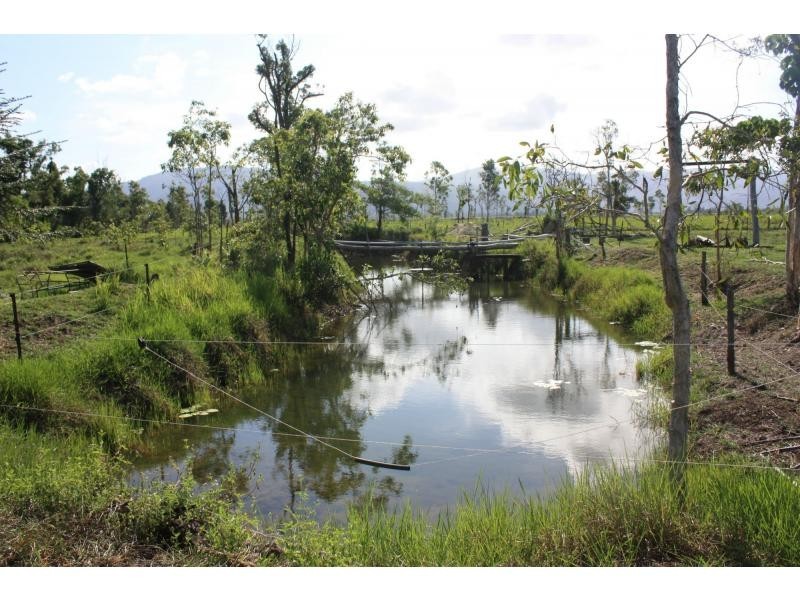 85 Hamilton Road, Carruchan QLD 4816