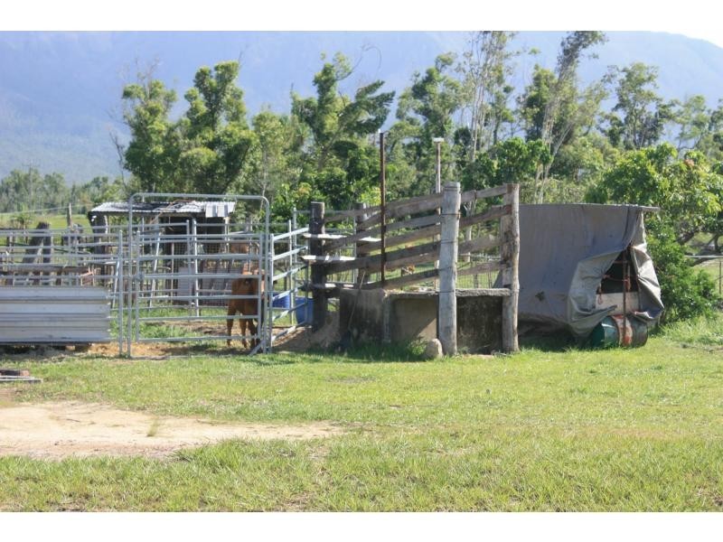 85 Hamilton Road, Carruchan QLD 4816