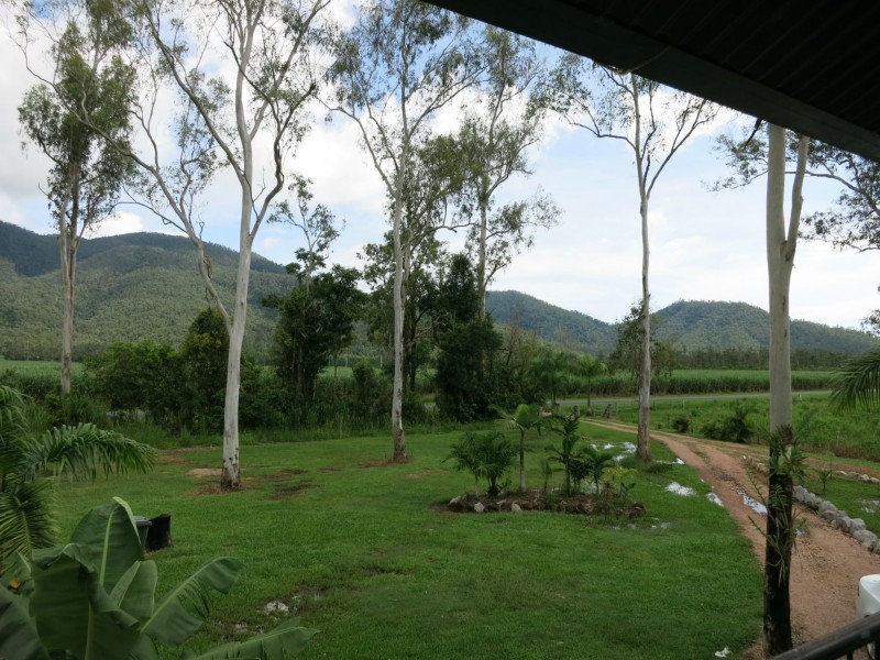 714 Kennedy Creek Road, Carruchan QLD 4816
