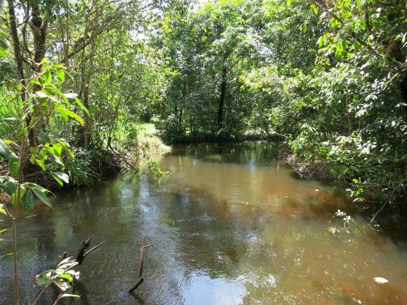 714 Kennedy Creek Road, Carruchan QLD 4816