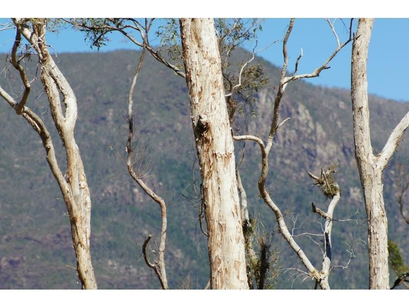 L36 Mahogany Road, Ellerbeck QLD 4816