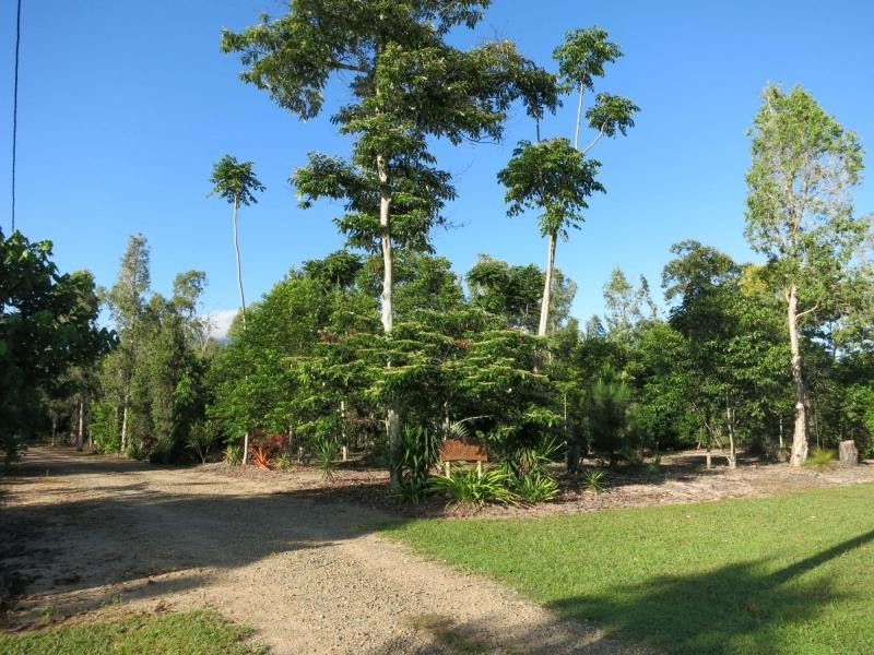 21 Curtis Road, Carruchan QLD 4816