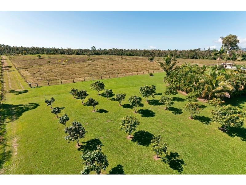 55786 Bruce Highway, Ellerbeck QLD 4816