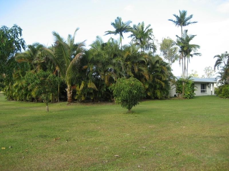 55786 Bruce Highway, Ellerbeck QLD 4816