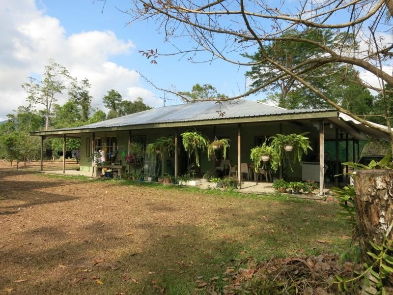 753 Kennedy Creek Road, Carruchan QLD 4816