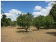 753 Kennedy Creek Road, Carruchan QLD 4816