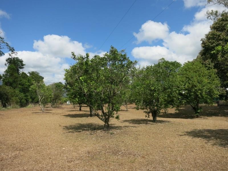 753 Kennedy Creek Road, Carruchan QLD 4816
