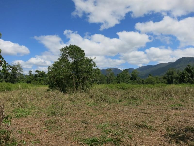 753 Kennedy Creek Road, Carruchan QLD 4816