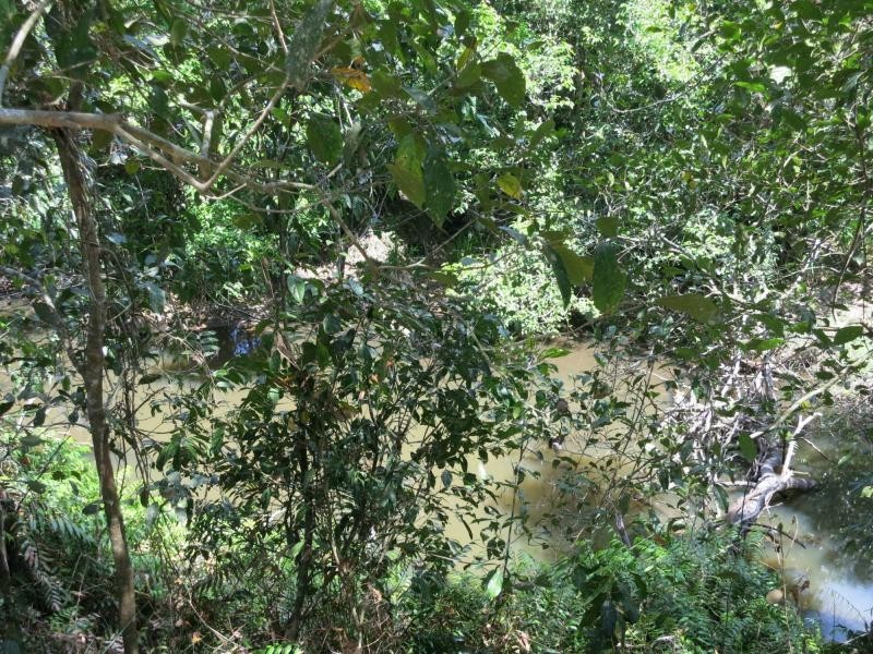 753 Kennedy Creek Road, Carruchan QLD 4816