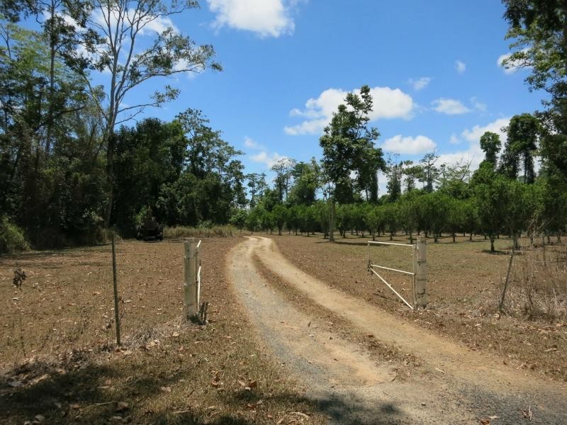 753 Kennedy Creek Road, Carruchan QLD 4816