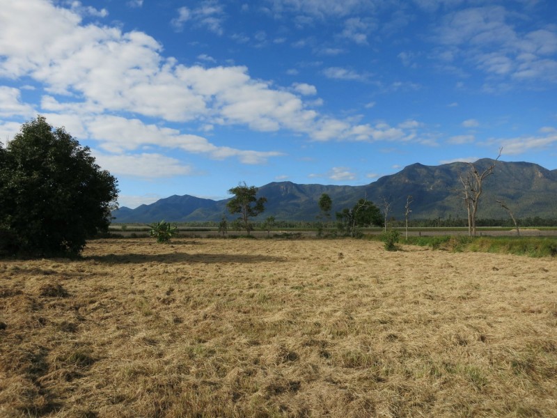 29 Sullivan Road, Carruchan QLD 4816