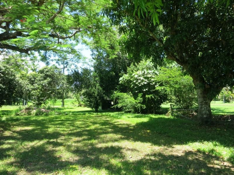 725 Ellerbeck Road, Carruchan QLD 4816