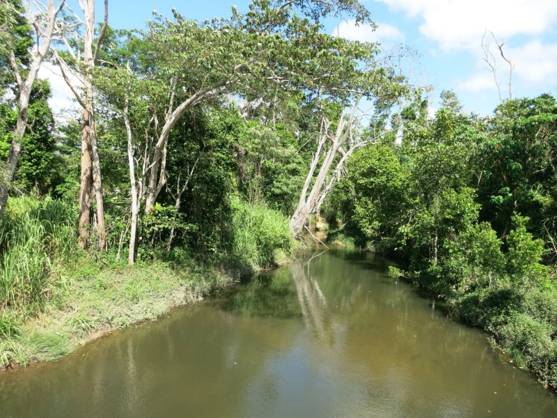 57169 Bruce Highway, Bilyana QLD 4854