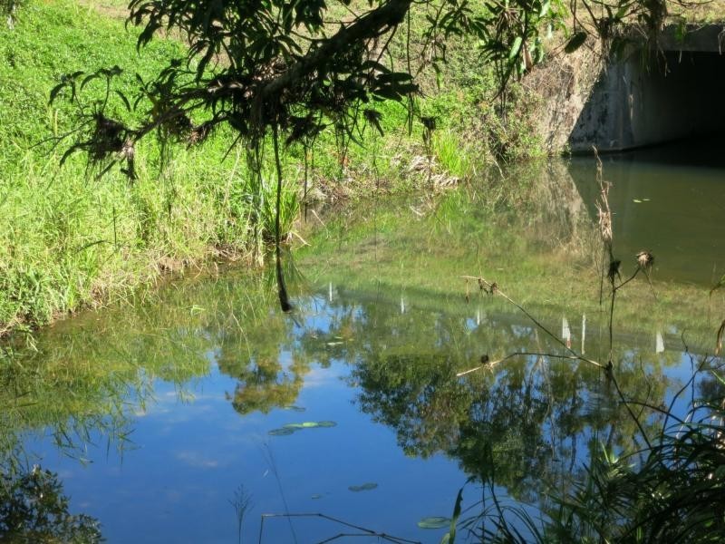 57162 Bruce Highway, Bilyana QLD 4854